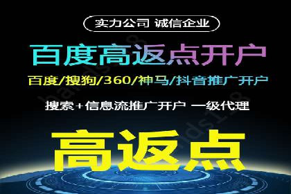 百度优化推广案例：打造行业领先品牌